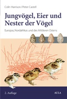 Castell, Peter Castell, Harriso, Coli Harrison, Colin Harrison - Jungvögel, Eier und Nester der Vögel Europas, Nordafrikas und des Mittleren Ostens