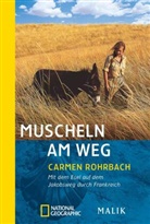 Carmen Rohrbach - Muscheln am Weg