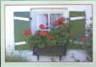 Fenster mit Blumen