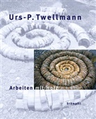 Suz Gablik, Suzi Gablik, Gabrielle Obrist, Urs-P Twellmann, Urs-Peter Twellmann, Louis Brem... - Urs-P. Twellmann - Arbeiten mit Holz