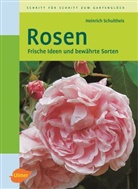 Heinrich Schultheis - Rosen