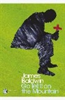 James Baldwin, Andrew O'Hagan - Go Tell it on the Mountain