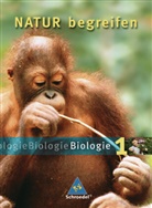 Natur begreifen - Biologie - 1: Natur begreifen Biologie - Ausgabe 2003
