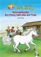 Jana Frey, Rebecca Abe - Schneeflocke, Ein Pony hält alle auf Trab