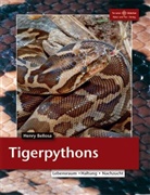 Henry Bellosa, Henry Belosa - Python Molurus, Der Tigerpython