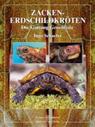 Ingo Schaefer, Ingo Schäfer - Zacken-Erdschildkröten