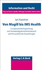 Jan Kaestner - Missbrauch von Immaterialgüterrechten