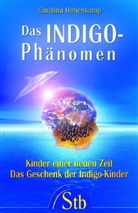 Carolina Hehenkamp - Das Indigo-Phänomen