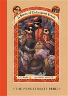Lemony Snicket, Brett Helquist, Michael Kupperman - A Series of Unfortunate Events