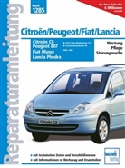 Peter Russek - Citroen C8, Peugeot 807, Fiat Ulysse, Lancia Phedra