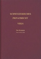 Roland von Büren - Schweizerisches Privatrecht - 8/6: Der Konzern