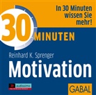 Reinhard K Sprenger, Reinhard K. Sprenger, Gisa Bergmann, Uwe Koschel, Gisa Schmidt, Art Veder - 30 Minuten Motivation, 1 Audio-CD (Hörbuch)