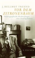Hellmut J. Freund, J. H. Freund, J. Hellmut Freund, Joachim Hellmut Freund, Domzalski, Domzalski... - Vor dem Zitronenbaum, m. Audio-CD
