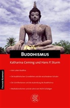Katharina Ceming, Hans P. Sturm - Buddhismus