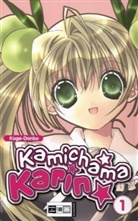 Koge-Donbo - Kamichama Karin. Bd.1