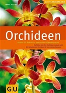 Frank Röllke - Orchideen