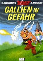 René Goscinny, Albert Uderzo, Albert Uderzo - Asterix - Bd. 33: Asterix