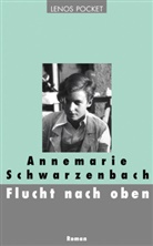 Annemarie Schwarzenbach, Roger Perret - Flucht nach oben