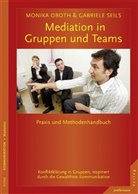 Obot, Monik Oboth, Monika Oboth, Seils, Gabriele Seils - Mediation in Gruppen und Teams