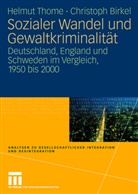 Christoph Birkel, Helmu Thome, Helmut Thome - Sozialer Wandel und Gewaltkriminalität