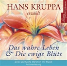 Hans Kruppa - Der gefundene Schatz & Die ewige Blüte, 1 Audio-CD (Audio book)