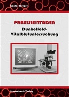 Günter Weigel - Dunkelfeld-Vitalblutuntersuchung - Praxisleitfaden