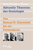 Dir Kaesler, Dirk Kaesler - Aktuelle Theorien der Soziologie