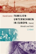 Harold James - Familienunternehmen in Europa