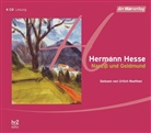 Hermann Hesse, Ulrich Noethen - Narziß und Goldmund, 4 Audio-CDs (Audio book)