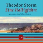 Theodor Storm, Max V. Martens - Eine Halligfahrt, 1 Audio-CD (Livre audio)