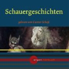 Wilhelm Hauff, Gunter Schoss - Schauergeschichten, 1 Audio-CD (Audiolibro)