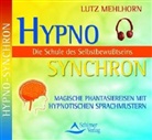 Lutz Mehlhorn - Schule des Selbst-Bewusst-Seins, 1 Audio-CD (Audio book)