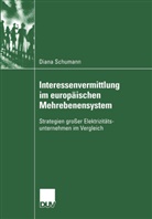 Diana Schumann - Interessenvermittlung im europäischen Mehrebenensystem
