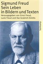 Sigmund Freud, Ernst Freud, Luci Freud, Lucie Freud, Ilse Grubrich-Simitis - Sigmund Freud, Sein Leben in Bildern und Texten