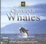 Chorus of Whales (Audio book)