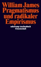 William James, Clau Langbehn, Claus Langbehn - Pragmatismus und radikaler Empirismus