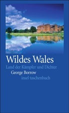 George Borrow, George H. Borrow - Wildes Wales