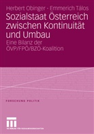 Herber Obinger, Herbert Obinger, Emmerich Talos, Emmerich Tálos - Sozialstaat Österreich zwischen Kontinuität und Umbau