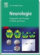 Claus-W. Wallesch, Claus-Werner Wallesch - Neurologie