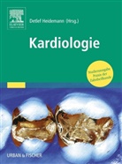 Detlef Heidemann, Detlef Heidemann - Praxis der Zahnheilkunde - Bd.2: Kariologie