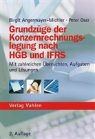 Birgit Angermayer, Birgi Angermayer-Michler, Birgit Angermayer-Michler, Peter Oser - Grundzüge der Konzernrechnungslegung nach HGB und IFRS