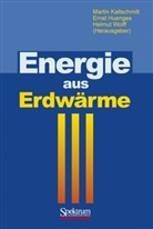 Jörg Baumgärtner, Peer Hoth, Erns Huenges, Ernst Huenges, Reinhard Jung, Marti Kaltschmitt... - Energie aus Erdwärme