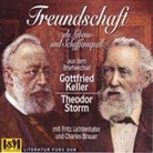 Gottfried Keller, Fritz Lichtenhahn, Theodor Storm, Theodor) Storm, Charles Brauer, Charles Breuer... - Briefwechsel, 1 CD-Audio (Audiolibro)