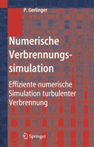 Peter Gerlinger - Numerische Verbrennungssimulation