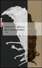 Michael Groißmeier - Im Leuchtkäferlicht