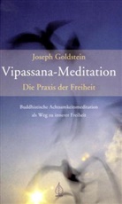 Joseph Goldstein - Vipassana-Meditation