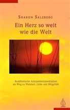 Sharon Salzberg - Ein Herz so weit wie die Welt