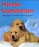 Matthew Hoffmann - Hundekrankheiten