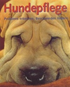 Matthew Hoffman, Matthew Hoffmann - Hundepflege