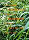 Franz Gertsch - Gemälde und Holzschnitte 1987-1997